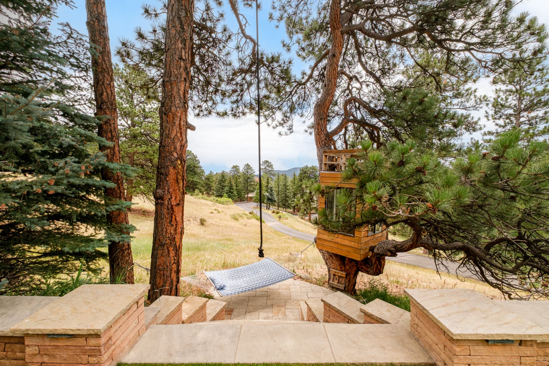 Hammock strung between two pines