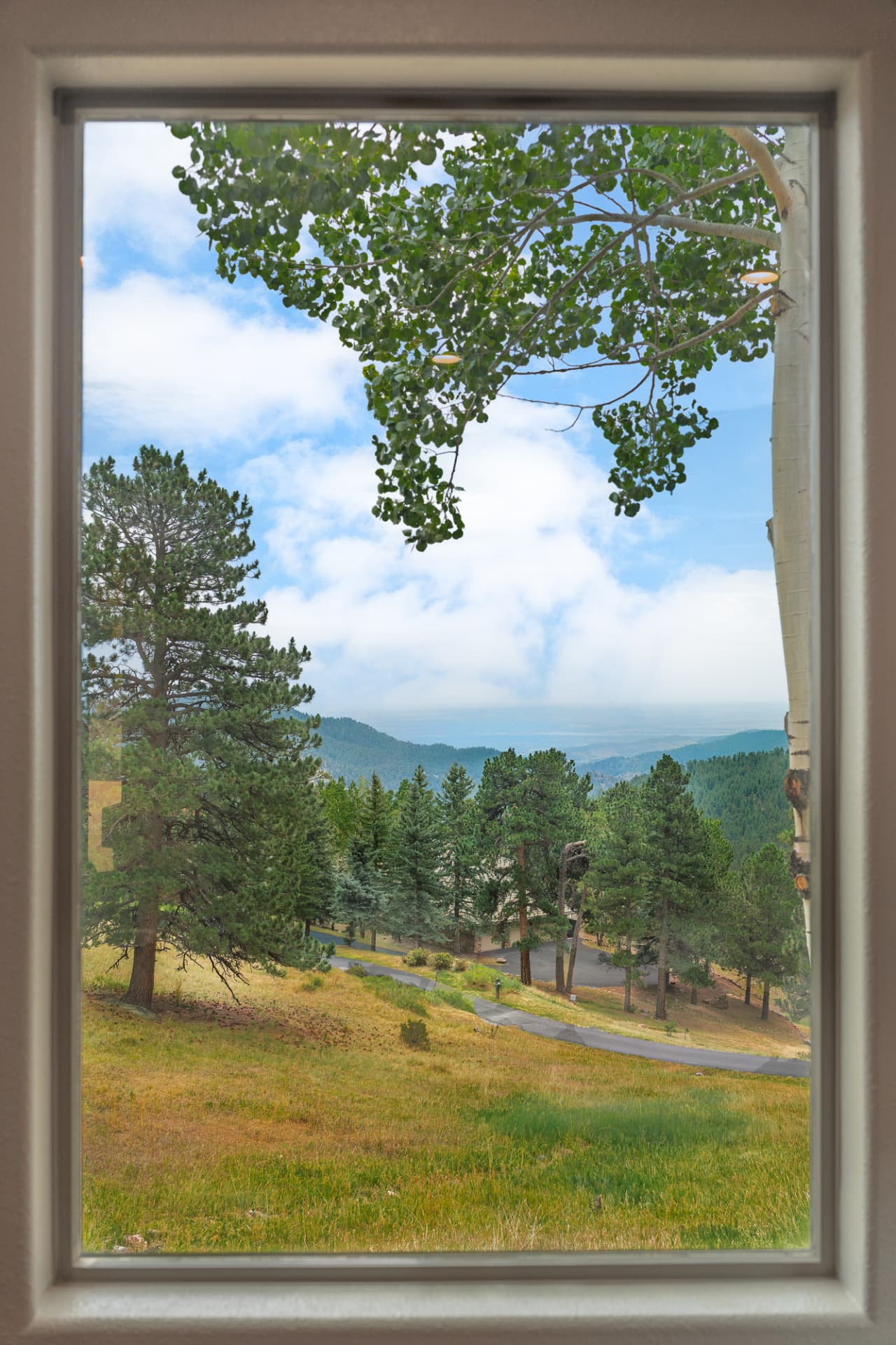 Pines and mountain ridges framed by a large square window